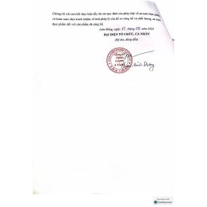 TCB CÀ PHÊ VÀNG ARABICA YELLOW BOURBON 1